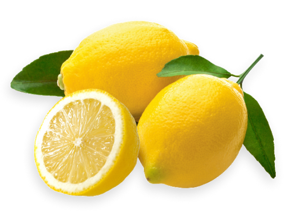  ALAZA Fresh Tropical Fruits Lemon Womens Plus Size