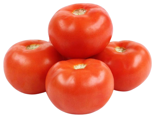 Fresh tomato hotsell