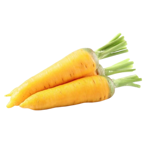 Carrot Yellow