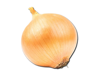 Brown Onion From Uzbekistan