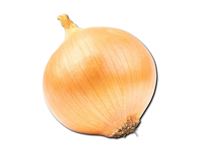 Brown Onion From Uzbekistan