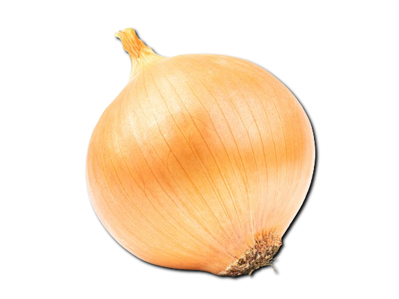 Brown Onion From Uzbekistan