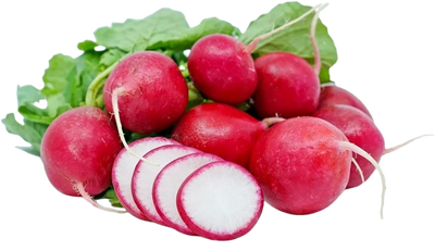 Red Radish Uzbekistan
