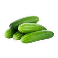 Organic cucumber