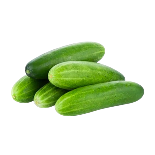 Organic cucumber