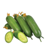 "Orzu" Cucumbers From Uzbekistan