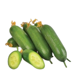 "Orzu" Cucumbers From Uzbekistan