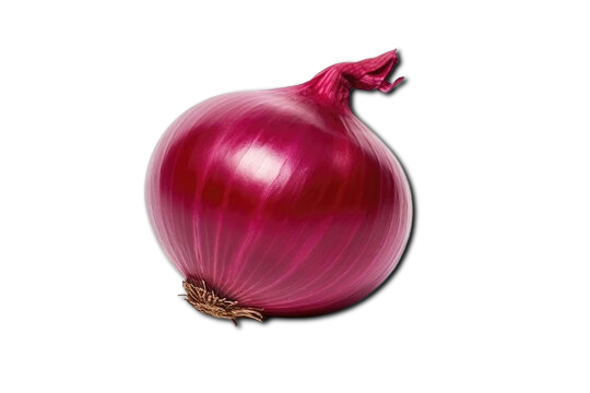 Red Onion From Uzbekistan