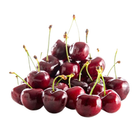Spring Sweet Cherry (medium size)