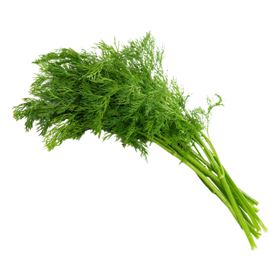 Dill Uzbekistan