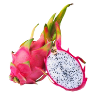 Dragon Fruit (2-4 pcs)