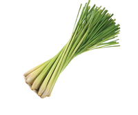 Lemon grass ~ 1 pkt