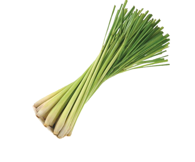 Lemon grass ~ 1 pkt