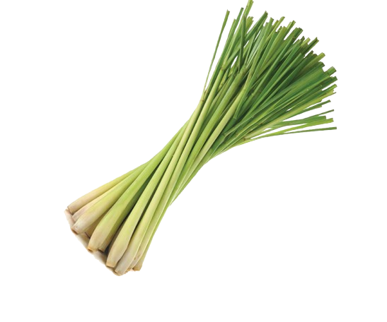 Lemon grass ~ 1 pkt