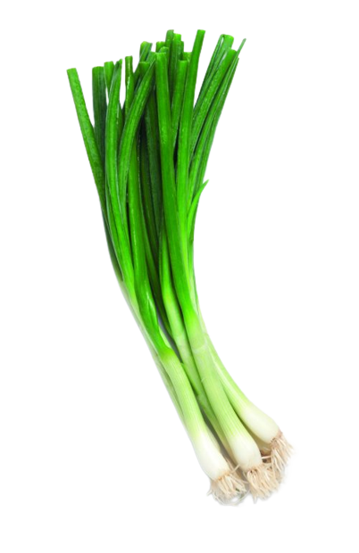 Spring Onion From Uzbekistan 250g