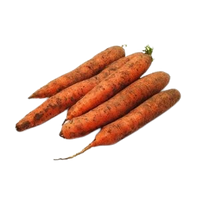 Fresh Carrot Uzbekistan