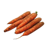 Fresh Carrot Uzbekistan 1kg
