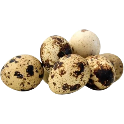 FARM Quail Eggs 18 pcs