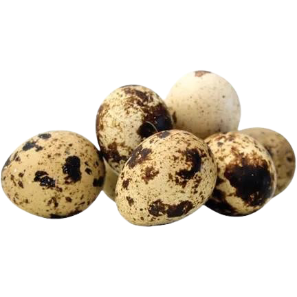 FARM Quail Eggs 18 pcs