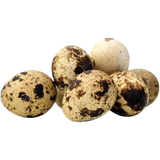 FARM Quail Eggs 18 pcs