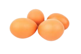 Bio Farm Eggs Medium Size 10 pcs