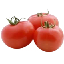 Red Tomatoes Uzbekistan