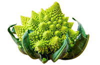 Romanesco Cabbage ~1pic