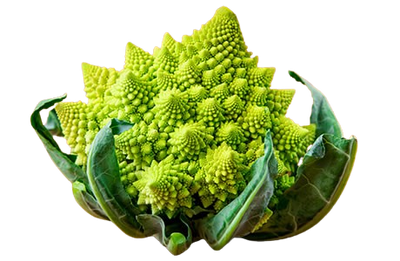 Romanesco Cabbage ~1pic