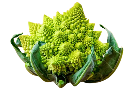 Romanesco Cabbage ~1pic