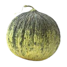 Sweet Melon From Uzbekistan (Kampir) 6-8 kg