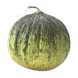 Kampir Melon Uzbekistan  4-6 kg