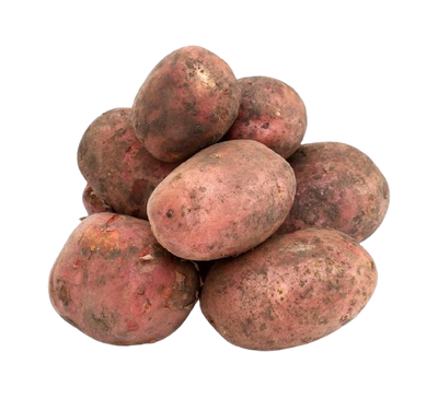 Red Potato