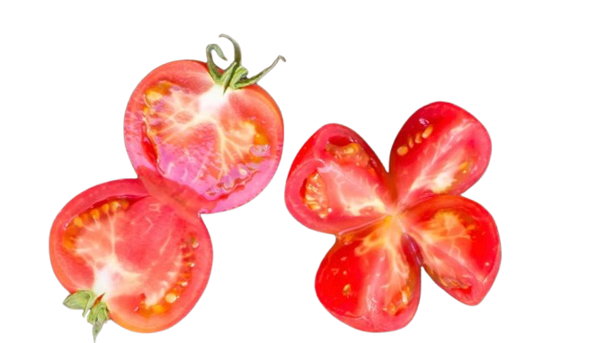 Over Ripe Pink Paradise Tomatoes for Sauce (Soft)