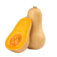 Pumpkin Butternut from Uzbekistan 1 pc