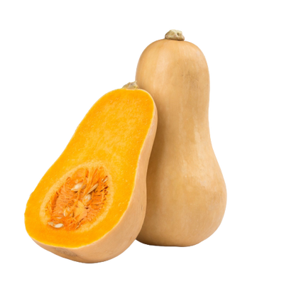 Pumpkin Butternut  1 pc