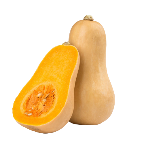 Pumpkin Butternut from Uzbekistan 1 pc