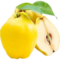 Quince Uzbekistan