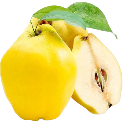 Quince Uzbekistan