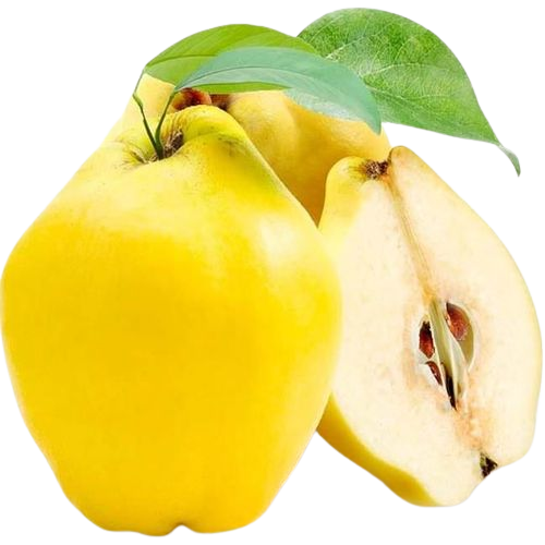 Quince Uzbekistan