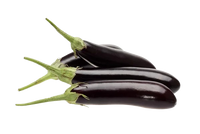 Long Eggplants