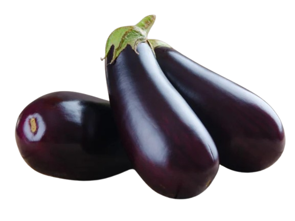 Organic eggplant