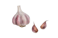 Garlic From Uzbekistan