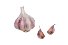 Garlic From Uzbekistan