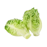 Lettuce Gem ~ 1 pkt