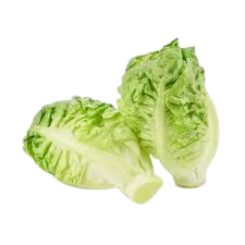 Lettuce Gem ~ 1 pkt