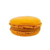 Macaroon Vanilla with Salted Caramel