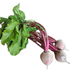 Young beetroot