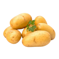 Young Potato