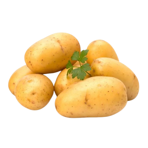 Young Potato