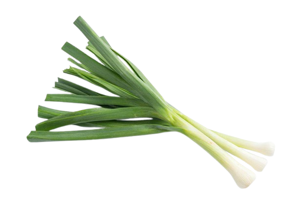 Young Garlic
